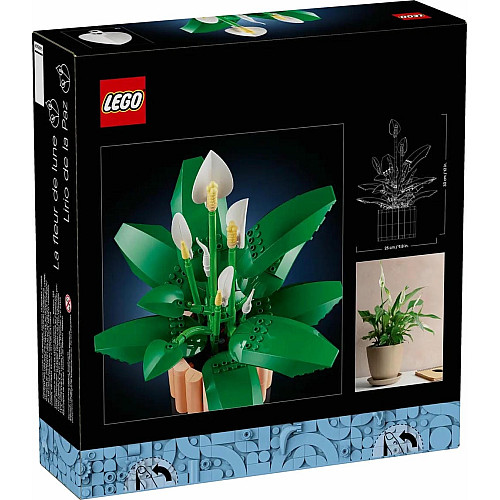 Конструктор LEGO Botanicals Спатифиллум