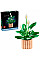 Конструктор LEGO Botanicals Спатифиллум