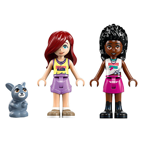 Конструктор LEGO Friends Хартлейк-Сіті. Фургон із морозивом