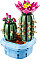 Конструктор LEGO Botanicals  Цвітіння кактуса