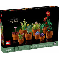 Конструктор LEGO Icons Botanicals Маленькие цветы