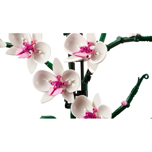 Конструктор LEGO Icons Botanicals Орхідея