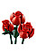 Конструктор LEGO Icons Botanicals Букет троянд