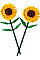 Конструктор LEGO Icons Botanicals Соняшники