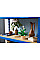 Конструктор LEGO Botanicals Спатифиллум