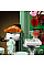 Конструктор LEGO Icons Французское кафе