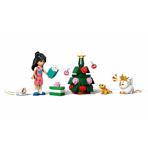 Конструктор LEGO Advent Friends 2025