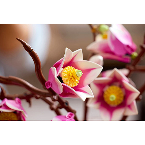 Конструктор LEGO Botanicals Гілки магнолії