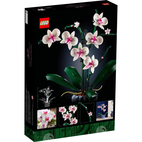 Конструктор LEGO Icons Botanicals Орхідея