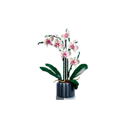 Конструктор LEGO Icons Botanicals Орхідея