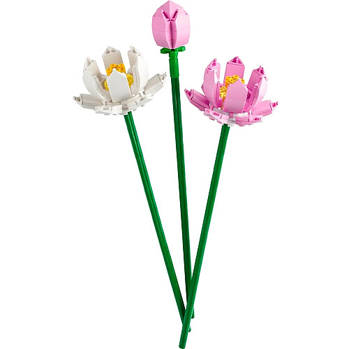 Конструктор LEGO Iconic Botanicals Цветы лотоса