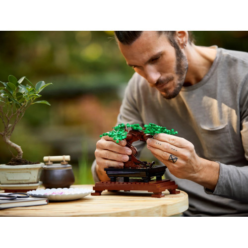 Конструктор LEGO Creator Expert Botanicals Дерево бонсай
