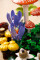 Конструктор LEGO Botanicals Лісові гриби