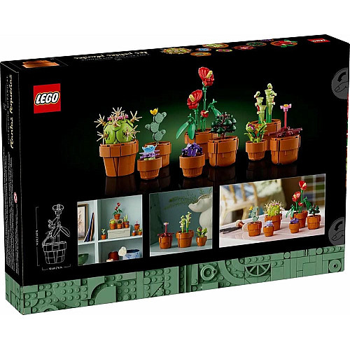 Конструктор LEGO Icons Botanicals Маленькі квіти