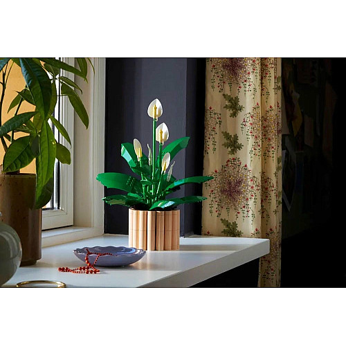 Конструктор LEGO Botanicals Спатифиллум