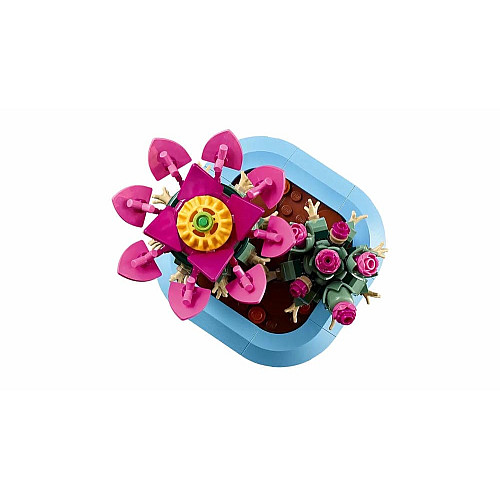 Конструктор LEGO Botanicals  Цвітіння кактуса