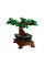 Конструктор LEGO Creator Expert Botanicals Дерево бонсай