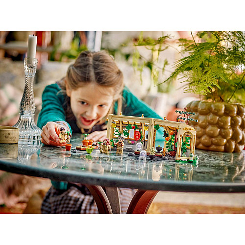 Конструктор LEGO Harry Potter Замок Гогвортс: урок гербології