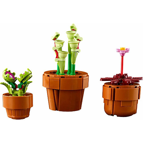 Конструктор LEGO Icons Botanicals Маленькі квіти