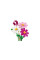Конструктор LEGO Botanicals Квіти космеї