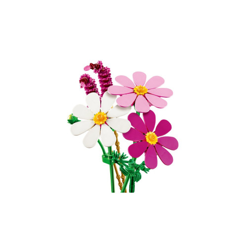 Конструктор LEGO Botanicals Квіти космеї