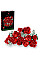 Конструктор LEGO Icons Botanicals Букет троянд