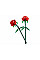 Конструктор LEGO Icons Botanicals Розы