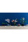 Конструктор LEGO Icons Botanicals Орхідея