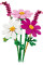 Конструктор LEGO Botanicals Квіти космеї