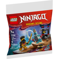 Конструктор LEGO recruitment Ninjago Арін проти Дракона: Битва