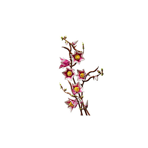 Конструктор LEGO Botanicals Гілки магнолії