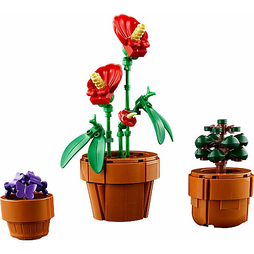 Конструктор LEGO Icons Botanicals Маленькі квіти