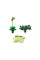 Конструктор LEGO Botanicals Рослини, що гойдаються