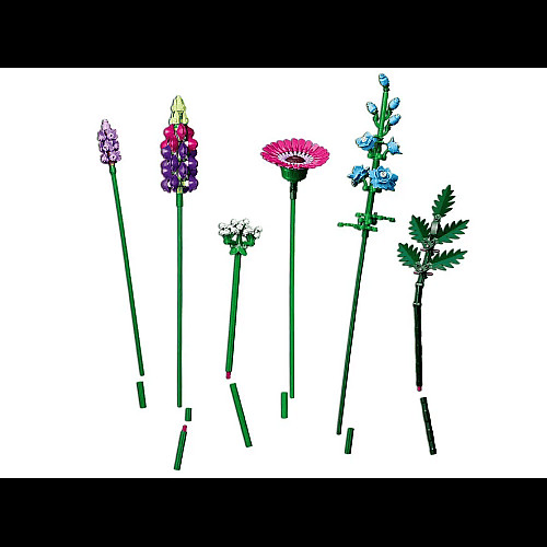 Конструктор LEGO Icons Botanicals Букет польових квітів