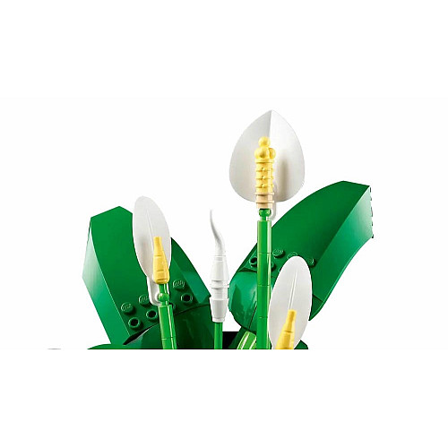 Конструктор LEGO Botanicals Спатифиллум