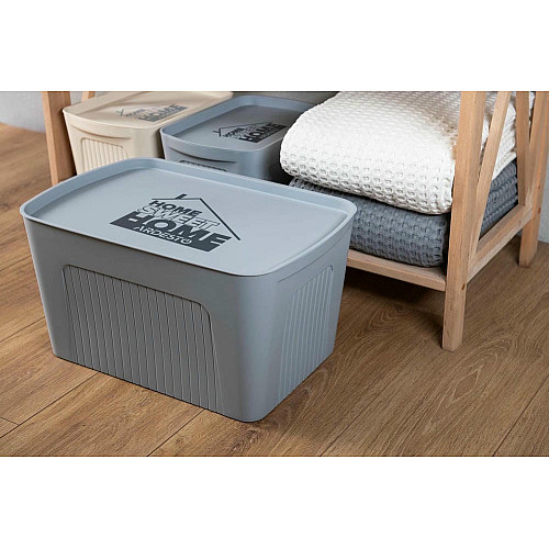 Ящик з кришкою для зберігання ARDESTO 32х21.5х14см, 6л, пластик PP, бежевий
