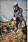 Пила ланцюгова акумуляторна DeWalt 18В шина 30см 3/8