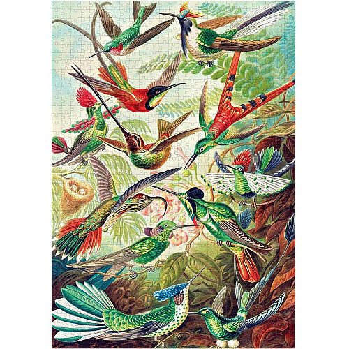 Пазл GoodLoot Imagination: Ernst Haeckel Hummingbirds 1000 ел.