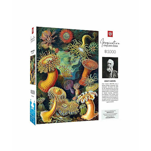 Пазл GoodLoot Imagination: Ernst Haeckel: Sea Anemones 1000 ел.