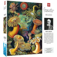 Пазл: GoodLoot Imagination: Ernst Haeckel: Sea Anemones 1000 эл.