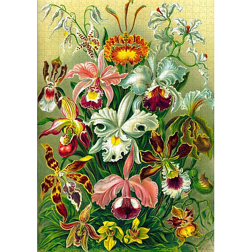 Пазл GoodLoot Imagination: Orchid Ernst Haeckel 1000 ел.