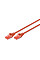 Патч-корд DIGITUS CAT 6 UTP, 0.5м, AWG 26/7, Cu, LSZH, червоний