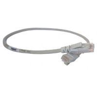 Патч-корд Legrand CAT 5e U-UTP, 0.5 м, AWG 24, PVC, сірий