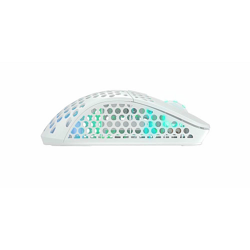 Мышь Xtrfy M4, WL/USB-A, RGB, белый