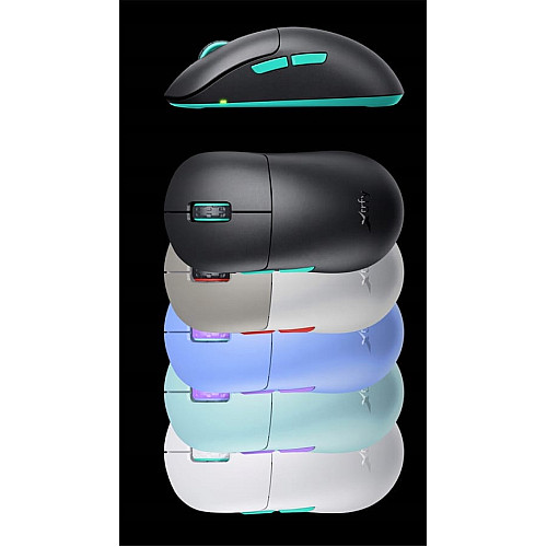 Мышь Xtrfy M8, WL/USB-A, RGB, черный