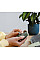 Миша Trust Yvi+ Silent ECO, WL, зелений