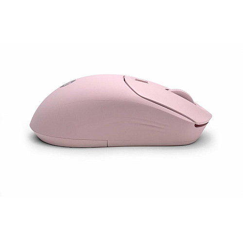 Миша HP 400 Quiet, WL/BT, рожевий