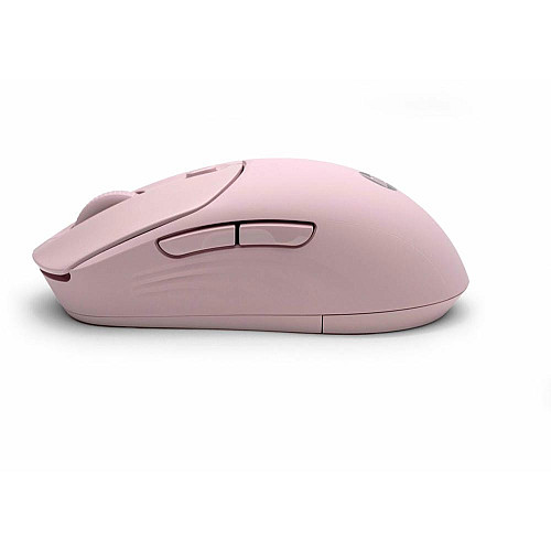 Миша HP 400 Quiet, WL/BT, рожевий