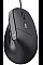 Мышь Trust Bayo 2 Ergonomic, USB-A, черный