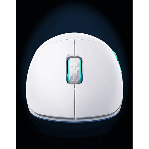 Мышь Xtrfy M8, WL/USB-A, RGB, черный